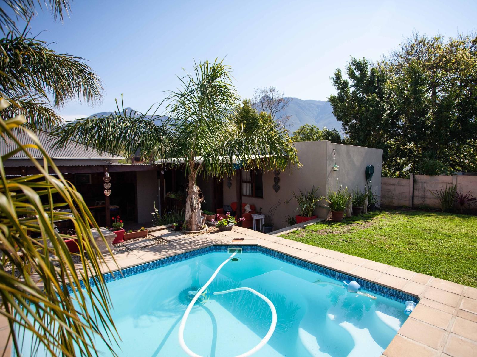 Flametree Guesthouse Swellendam Western Cape South Africa Complementary Colors, House, Building, Architecture, Palm Tree, Plant, Nature, Wood, Swimming Pool