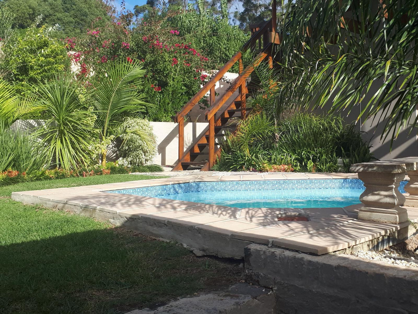 Flametree Guesthouse Swellendam Western Cape South Africa Palm Tree, Plant, Nature, Wood, Garden, Swimming Pool