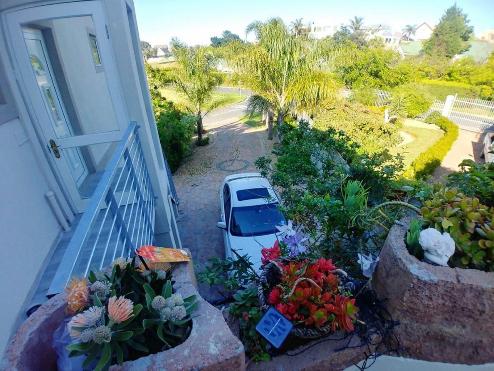 Flamingo Close Rosendal Durbanville Cape Town Western Cape South Africa Complementary Colors, Palm Tree, Plant, Nature, Wood, Garden