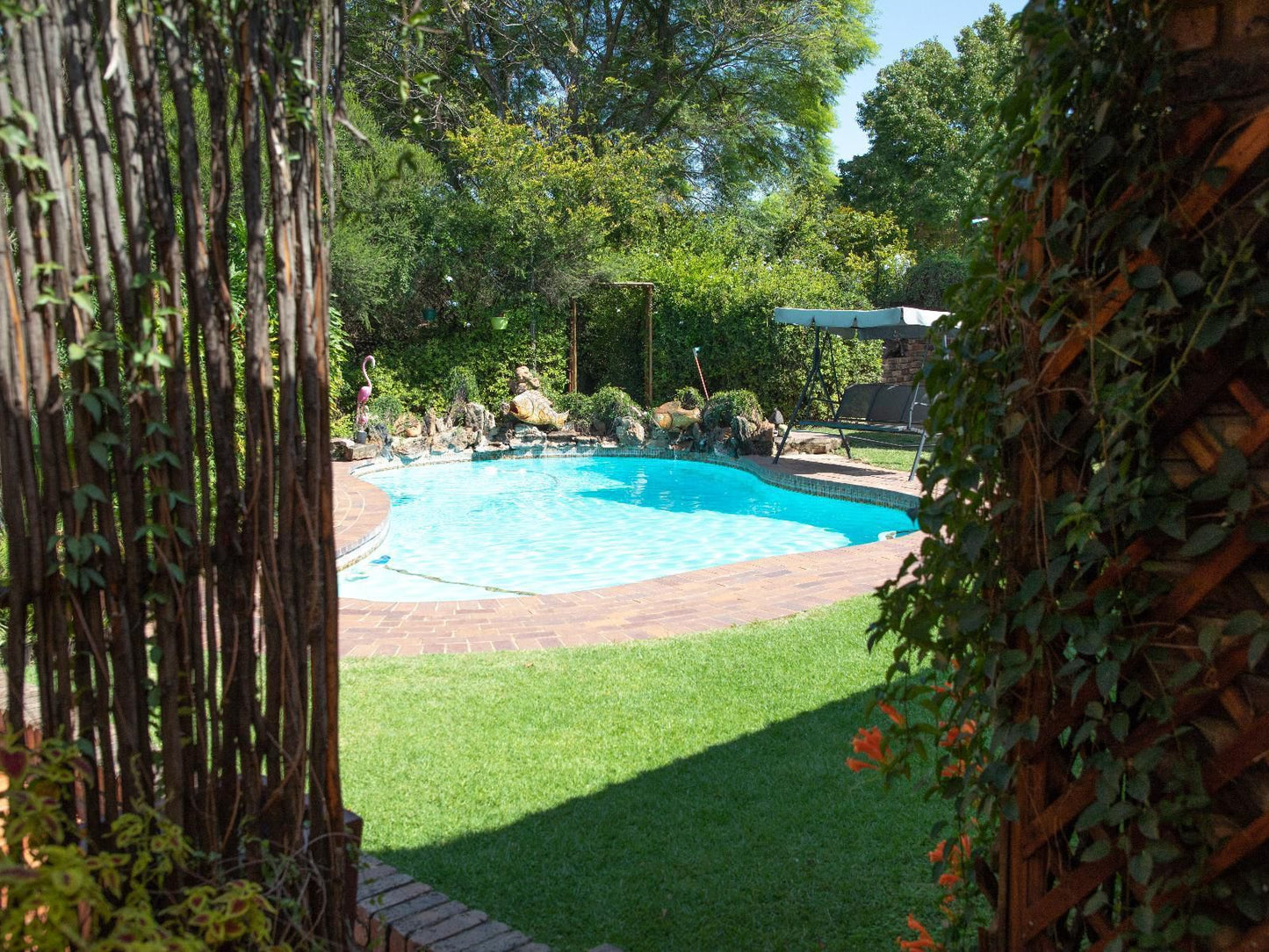 Flamingo Rest Fourways Johannesburg Gauteng South Africa Garden, Nature, Plant, Swimming Pool