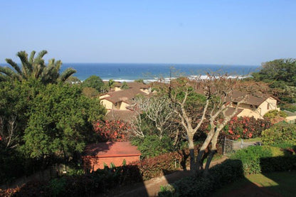 Flat 8 Safari Southbroom Kwazulu Natal South Africa Complementary Colors, Beach, Nature, Sand, Palm Tree, Plant, Wood