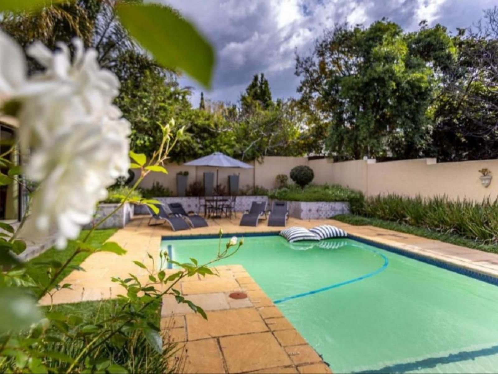 Fleur De Lis Boutique Accommodation, Palm Tree, Plant, Nature, Wood, Garden, Swimming Pool