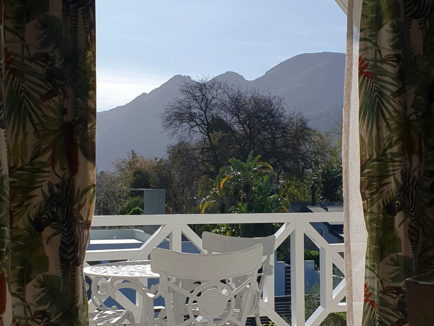 Fleur Du Soleil Luxury Guesthouse Franschhoek Western Cape South Africa Mountain, Nature, Palm Tree, Plant, Wood, Volcano, Highland