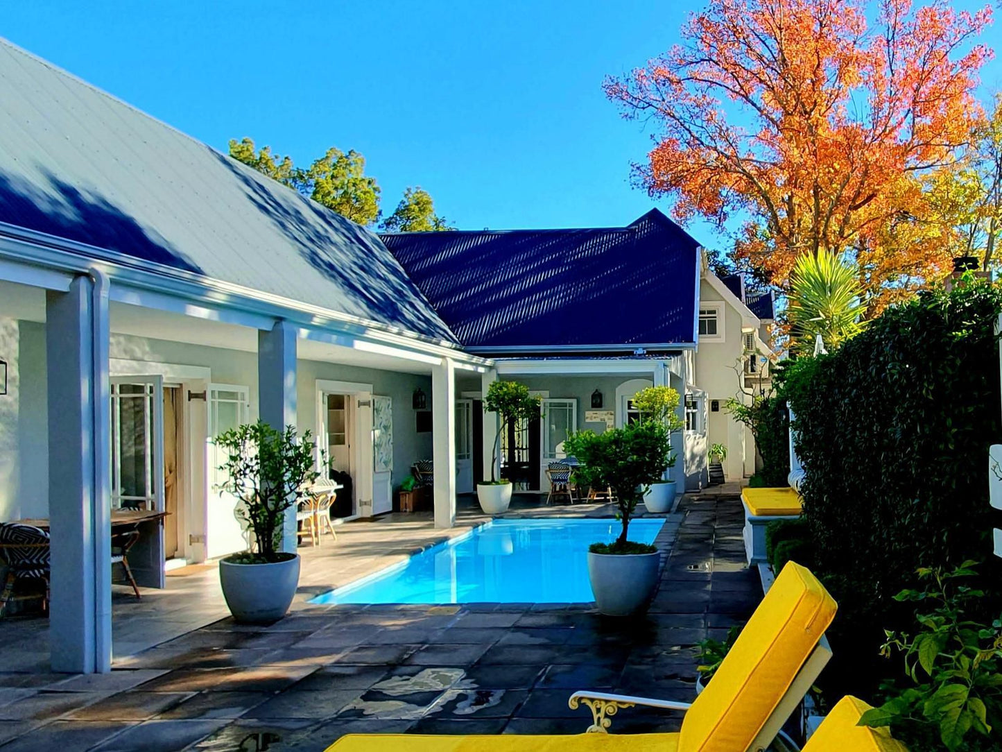 Fleur Du Soleil Luxury Guesthouse Franschhoek Western Cape South Africa Complementary Colors, House, Building, Architecture, Swimming Pool