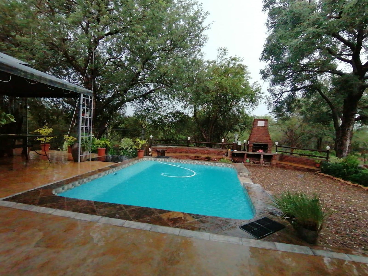 Flight Of The Eagle At Kruger Marloth Park Mpumalanga South Africa Garden, Nature, Plant, Swimming Pool