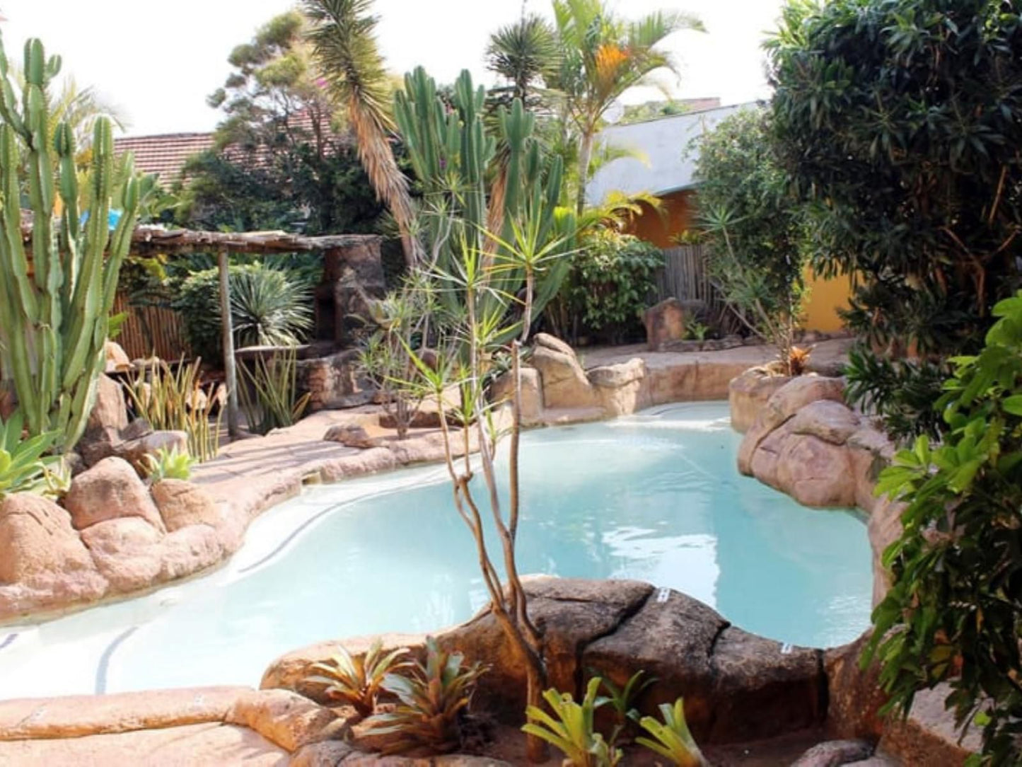 Flintstones Guest House Durban Durban North Durban Kwazulu Natal South Africa Palm Tree, Plant, Nature, Wood, Garden, Swimming Pool