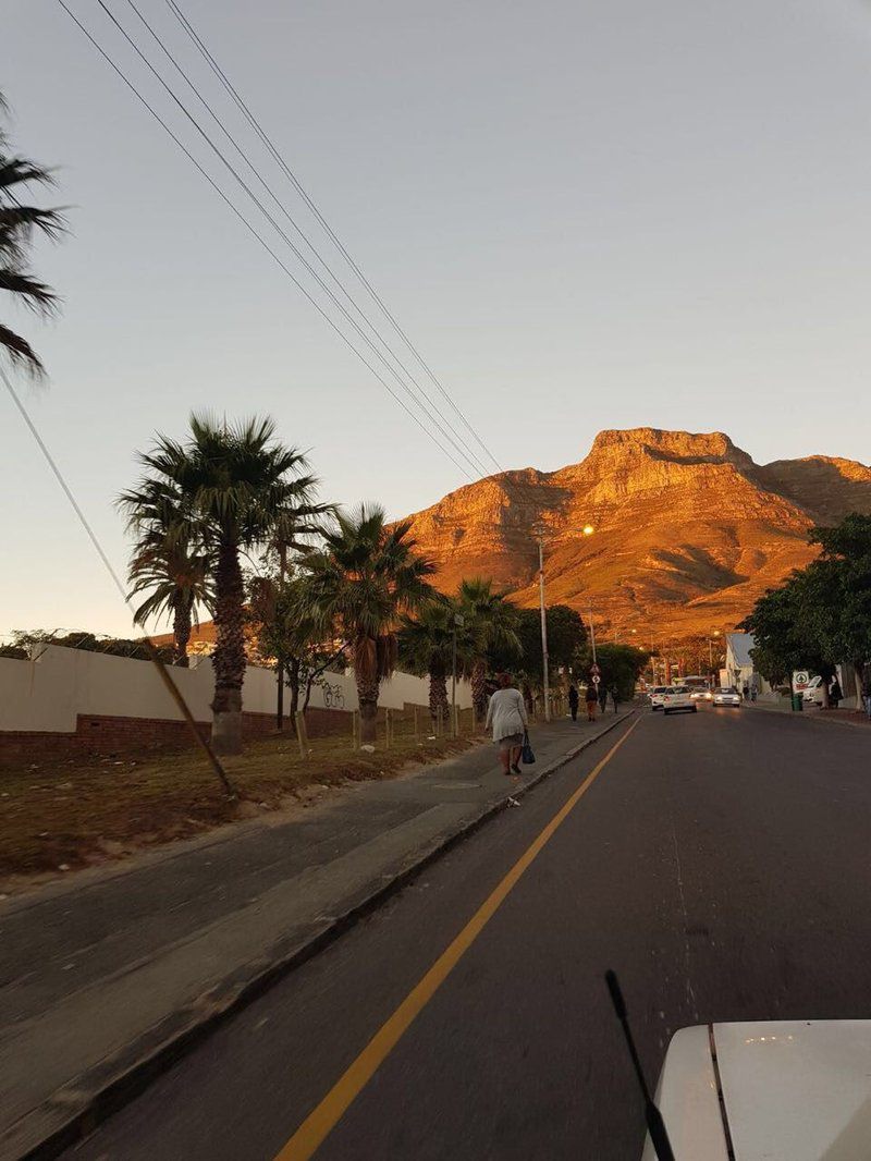 Florine Home Accommodation Zonnebloem Cape Town Western Cape South Africa Palm Tree, Plant, Nature, Wood, Street