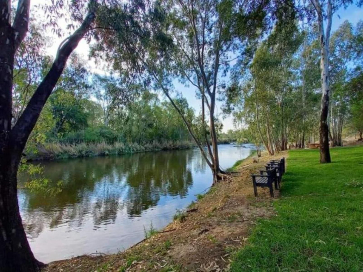 Fly Fishing Paradise On The Vaalriver Parys Free State South Africa River, Nature, Waters, Tree, Plant, Wood