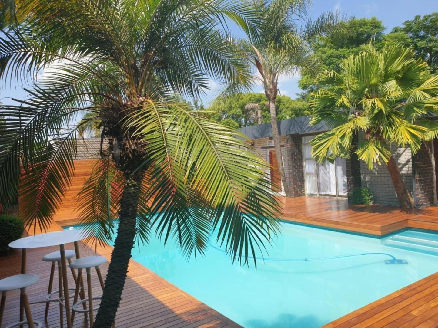 Fm Guest Lodge Randpark Ridge Johannesburg Gauteng South Africa Complementary Colors, Palm Tree, Plant, Nature, Wood, Swimming Pool