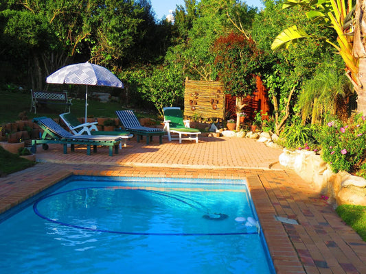 Footprints Of Knysna Knysna Western Cape South Africa Complementary Colors, Garden, Nature, Plant, Swimming Pool