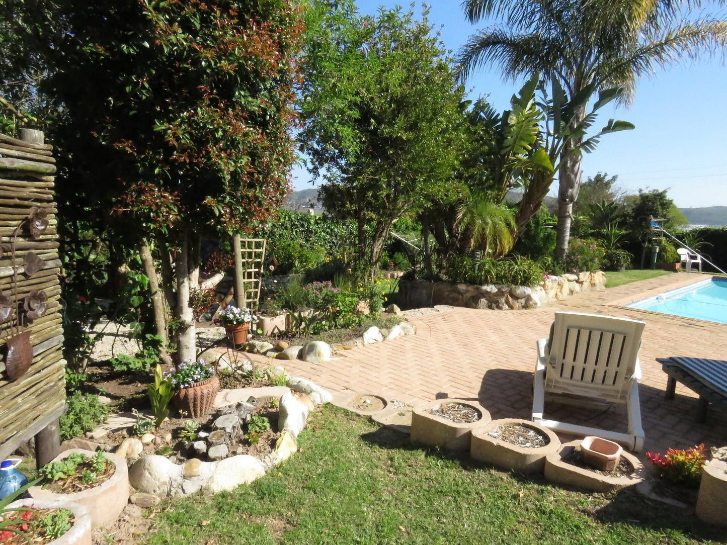 Footprints Of Knysna Knysna Western Cape South Africa Palm Tree, Plant, Nature, Wood, Garden