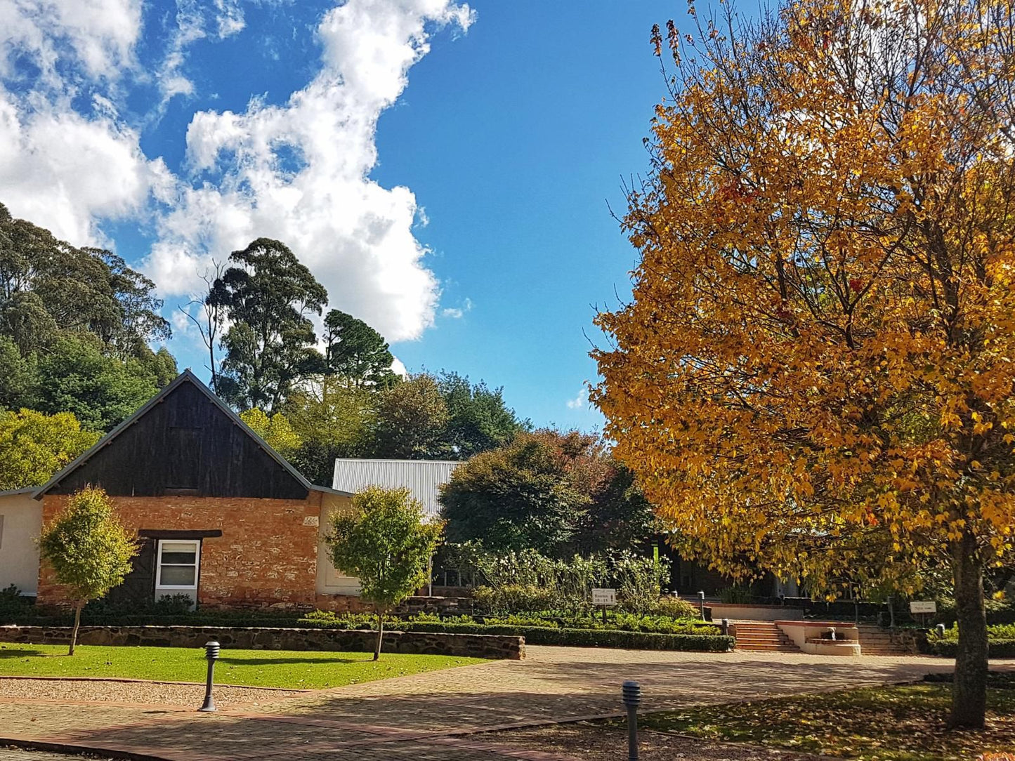 Fordoun Hotel And Spa Nottingham Road Kwazulu Natal South Africa Complementary Colors, Tree, Plant, Nature, Wood, Autumn