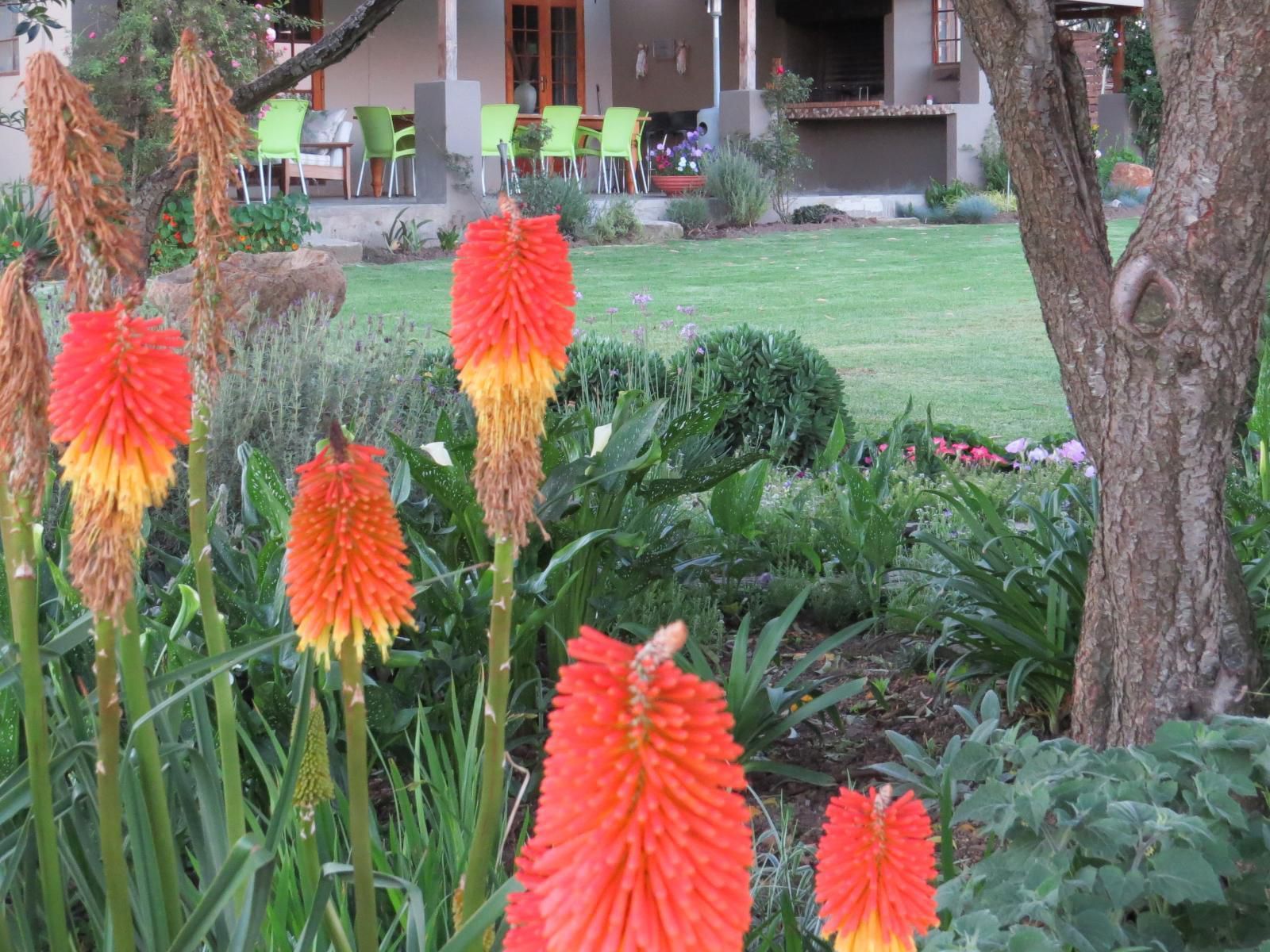 Forellenhof Guest Farm, Plant, Nature