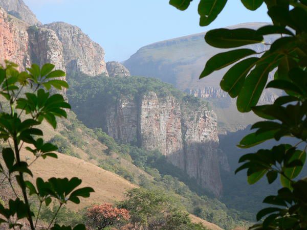 Forest Creek Lodge And Spa Dullstroom Mpumalanga South Africa Tree, Plant, Nature, Wood, Highland