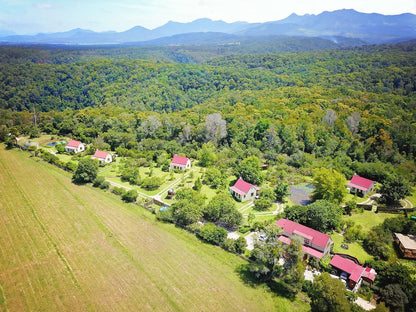 Forest Edge Knysna Western Cape South Africa Aerial Photography