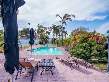 Forest Hall Guest House, Palm Tree, Plant, Nature, Wood, Swimming Pool