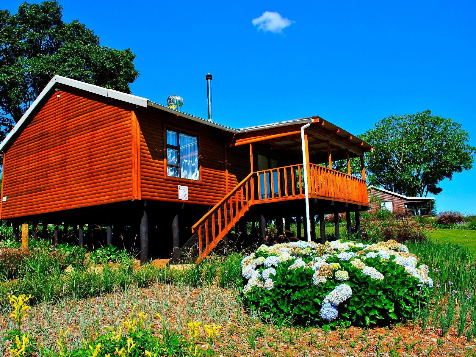 Forest View Cabins Tzaneen Limpopo Province South Africa Complementary Colors, Colorful, Building, Architecture