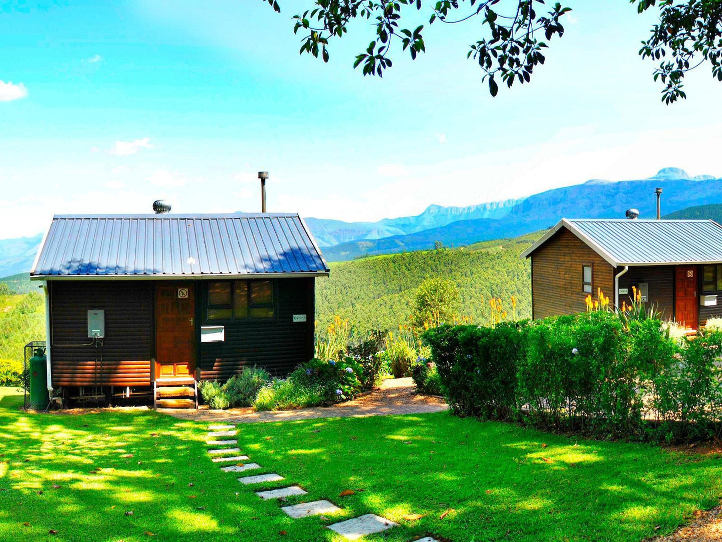 Forest View Cabins Tzaneen Limpopo Province South Africa Complementary Colors, Colorful