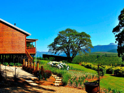 Forest View Cabins Tzaneen Limpopo Province South Africa Complementary Colors, Colorful, Plant, Nature