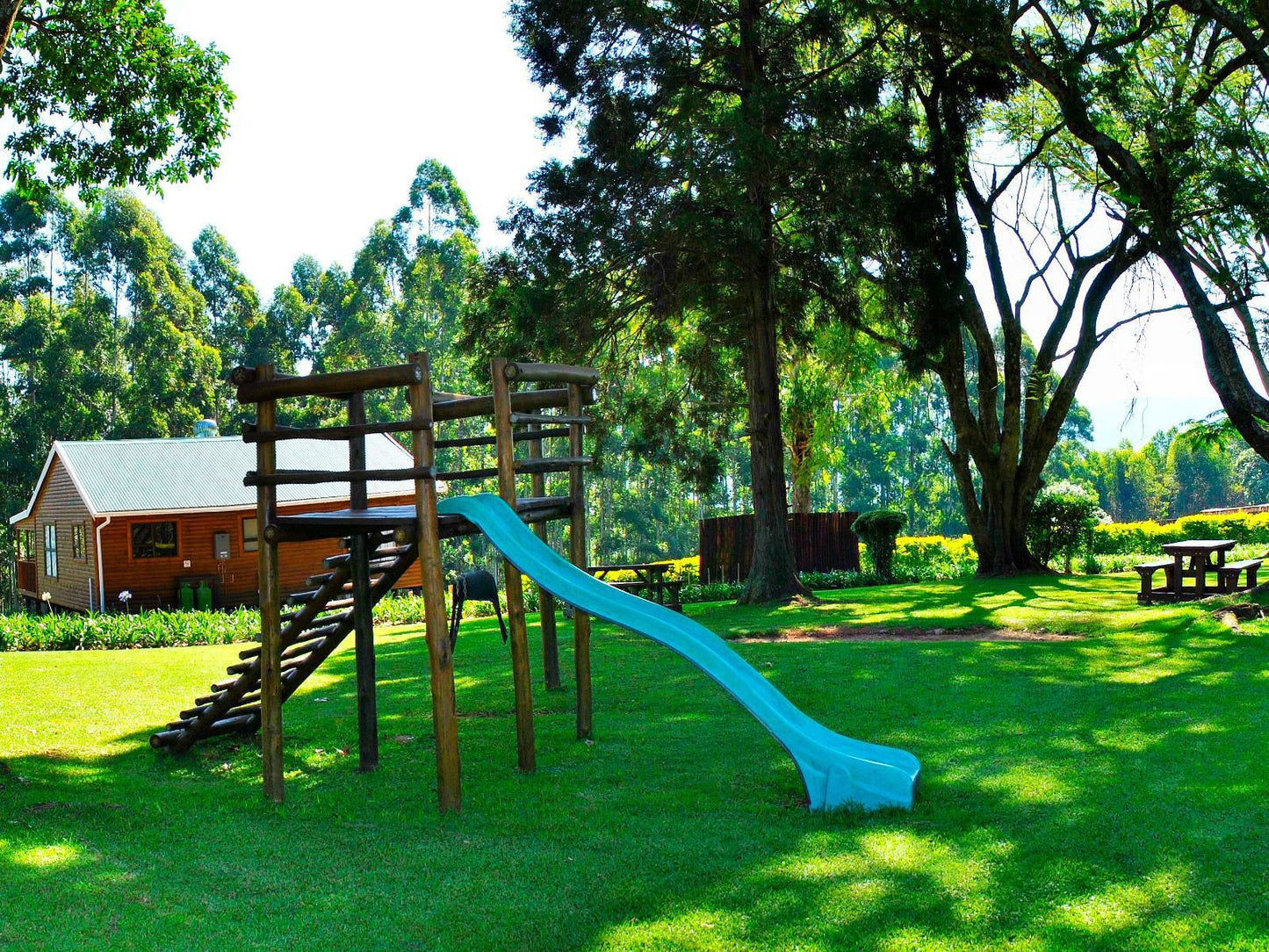 Forest View Cabins Tzaneen Limpopo Province South Africa 