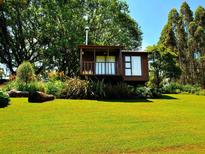 Forest View Cabins Tzaneen Limpopo Province South Africa Plant, Nature