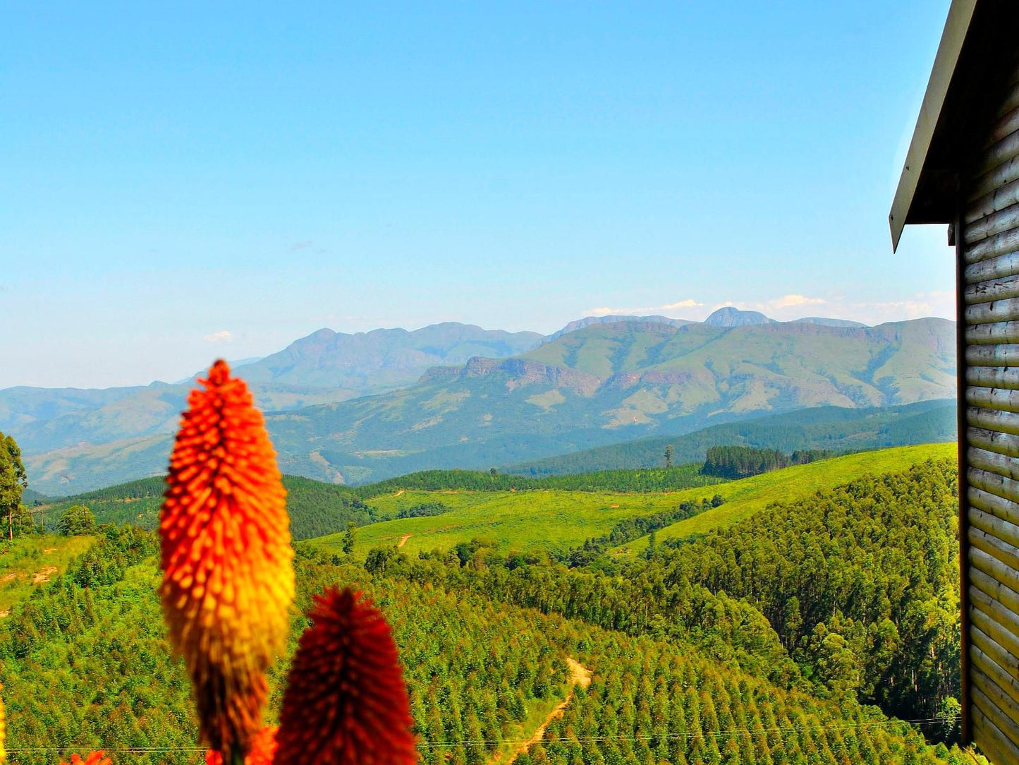 Forest View Cabins Tzaneen Limpopo Province South Africa Complementary Colors, Colorful, Mountain, Nature