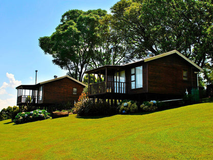 Forest View Cabins Tzaneen Limpopo Province South Africa Complementary Colors, House, Building, Architecture