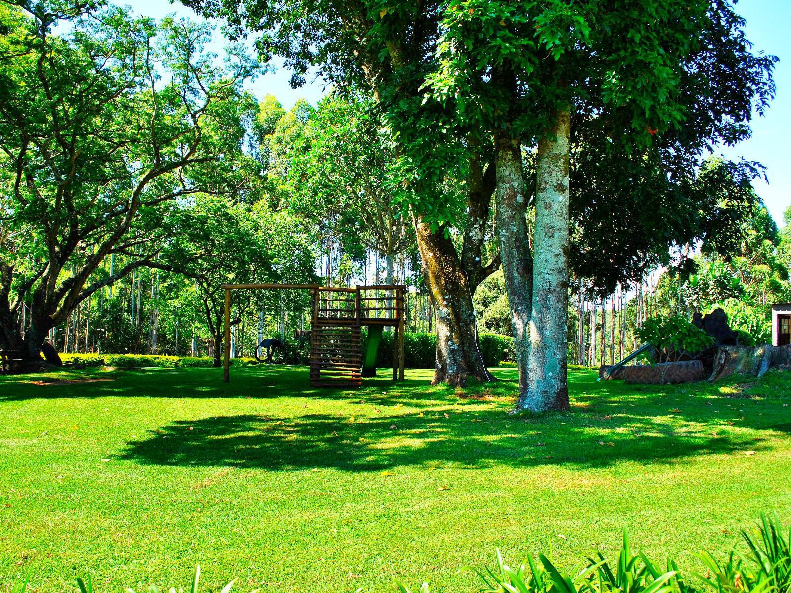 Forest View Cabins Tzaneen Limpopo Province South Africa Plant, Nature, Tree, Wood