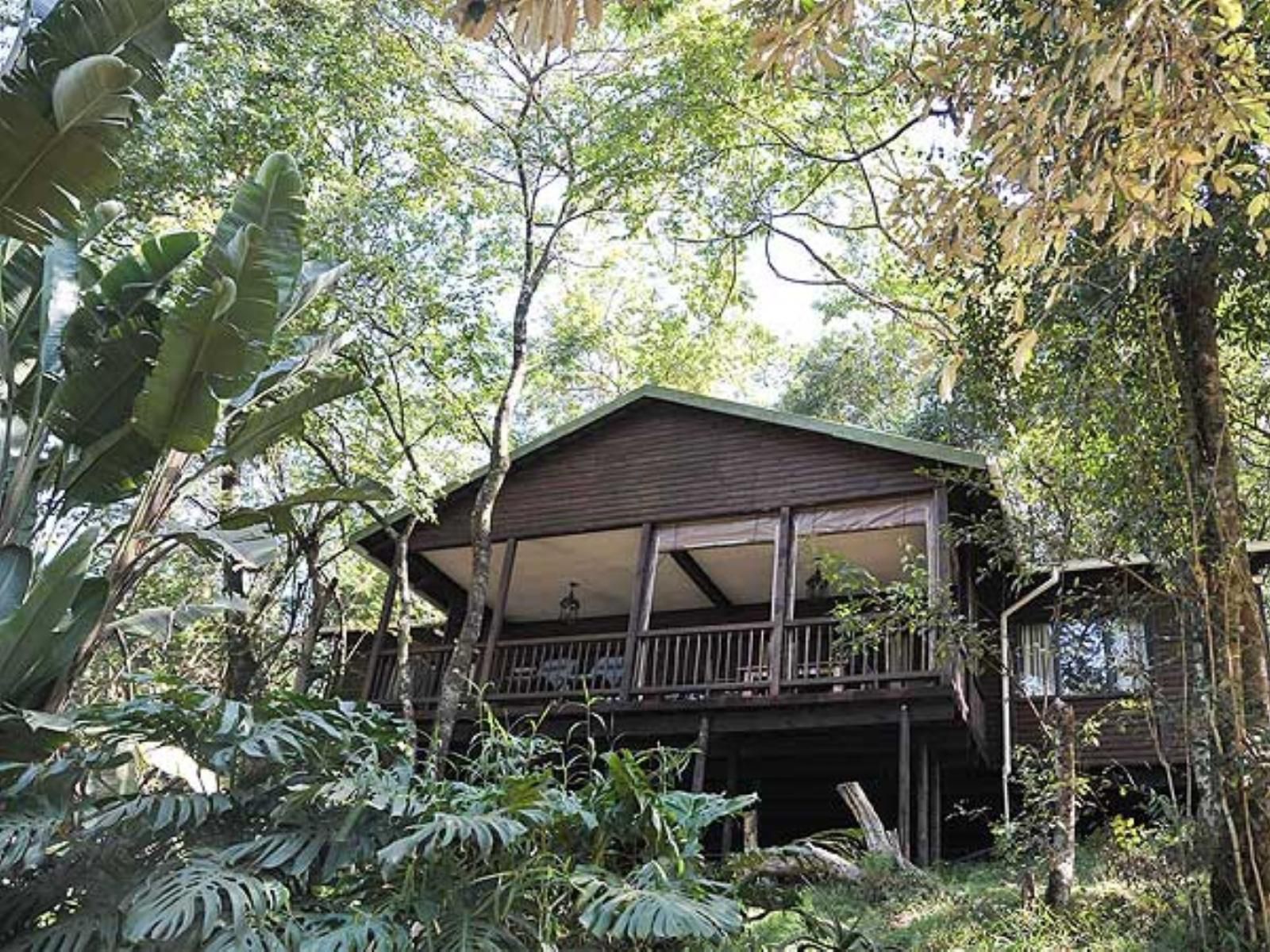 Forest Bird Lodge Magoebaskloof Limpopo Province South Africa Building, Architecture, Cabin, House, Tree, Plant, Nature, Wood