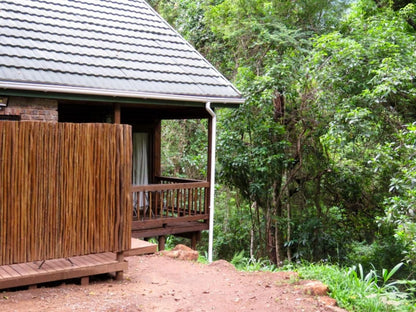 Forest Bird Lodge Magoebaskloof Limpopo Province South Africa Cabin, Building, Architecture, Forest, Nature, Plant, Tree, Wood