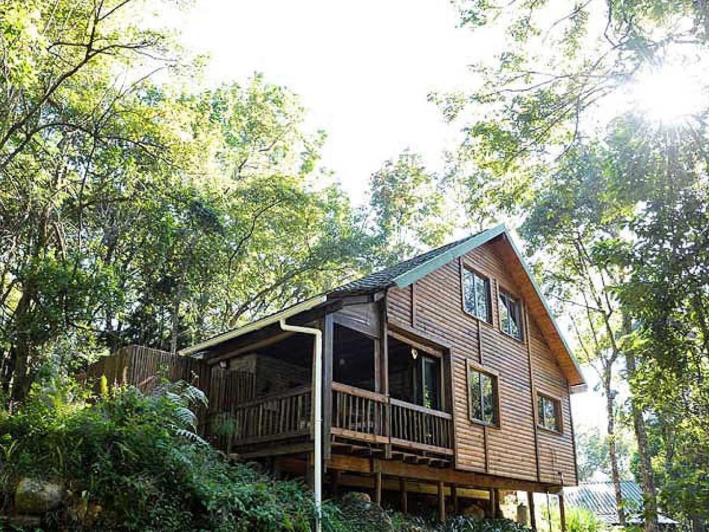 Forest Bird Lodge Magoebaskloof Limpopo Province South Africa Building, Architecture, Cabin