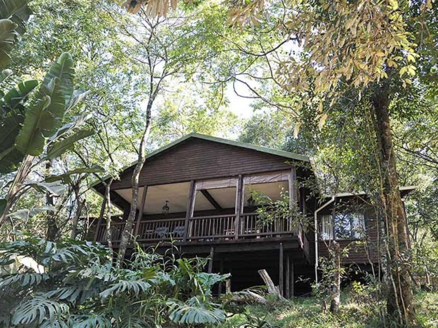 Forest Bird Lodge Magoebaskloof Limpopo Province South Africa Building, Architecture, Cabin, Tree, Plant, Nature, Wood