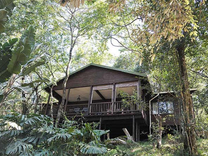 The Log Cabin @ Forest Bird Lodge