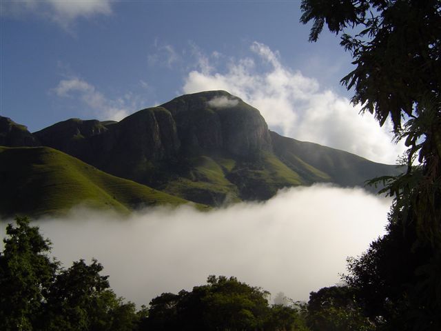 Forest Cottage Dullstroom Mpumalanga South Africa Mountain, Nature, Highland