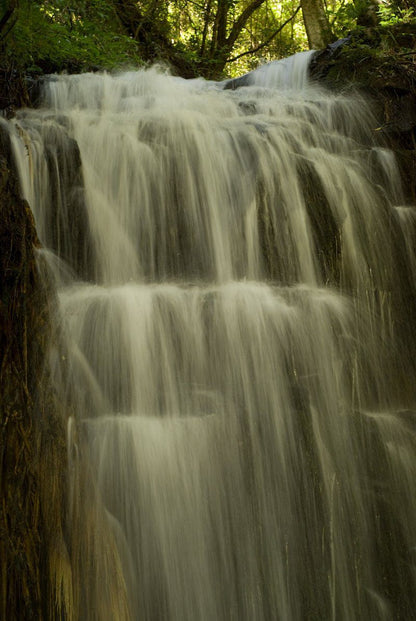 Forest Cottage Dullstroom Mpumalanga South Africa River, Nature, Waters, Waterfall