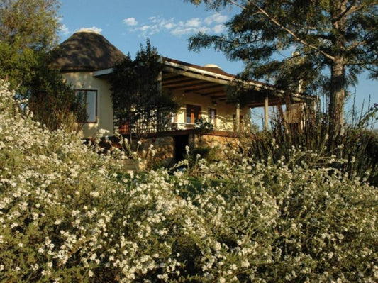 Forest Hills Cottages Rheenendal Knysna Western Cape South Africa House, Building, Architecture, Plant, Nature, Garden
