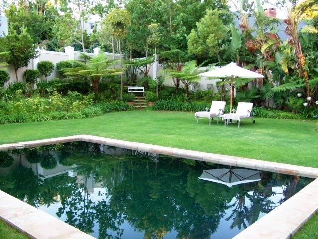 Forest Rest Helderrand Somerset West Western Cape South Africa Palm Tree, Plant, Nature, Wood, Garden, Swimming Pool