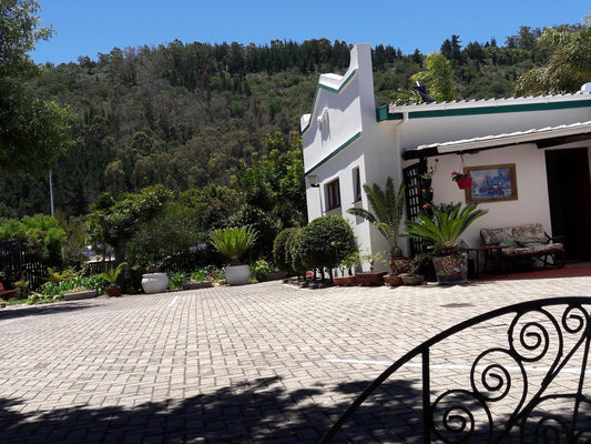 Forest View Guest House And Bandb Sedgefield Western Cape South Africa House, Building, Architecture, Palm Tree, Plant, Nature, Wood