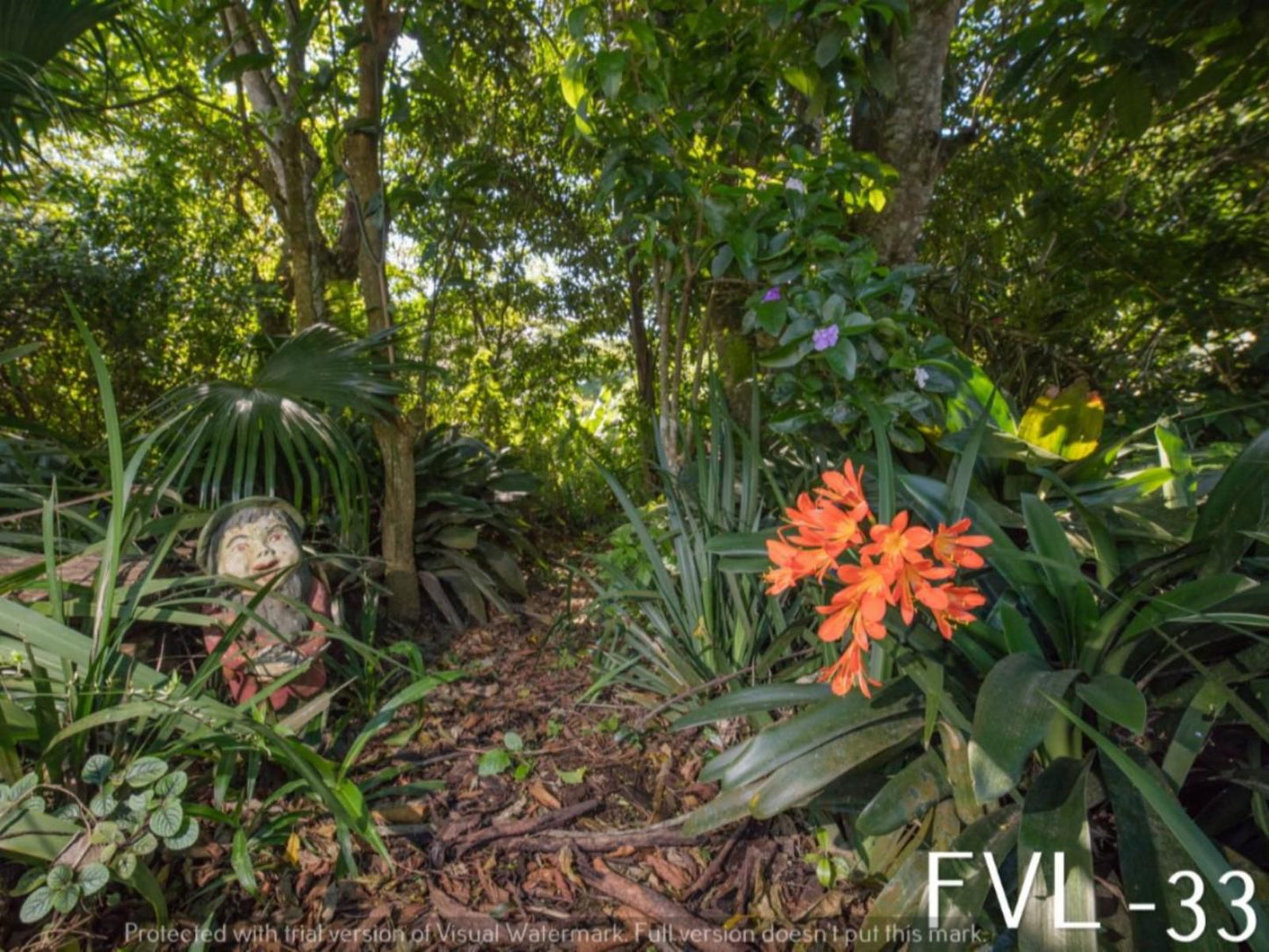 Forest View Lodge Eshowe Kwazulu Natal South Africa Palm Tree, Plant, Nature, Wood, Garden