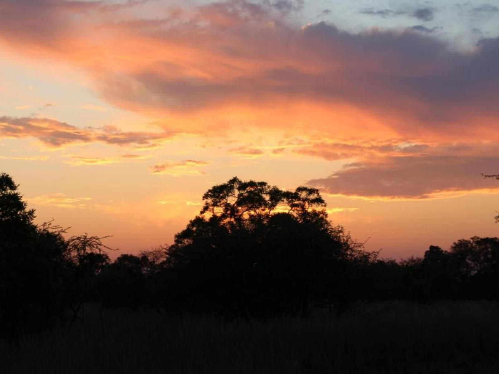 Foreva Wild Dinokeng Game Reserve Gauteng South Africa Sky, Nature, Sunset