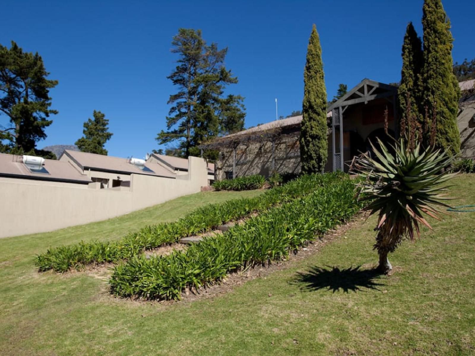 Forget Me Not Franschhoek Western Cape South Africa Complementary Colors, House, Building, Architecture, Plant, Nature