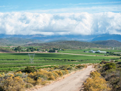 Fossil Hills Farm Cottage Mcgregor Western Cape South Africa Complementary Colors, Nature