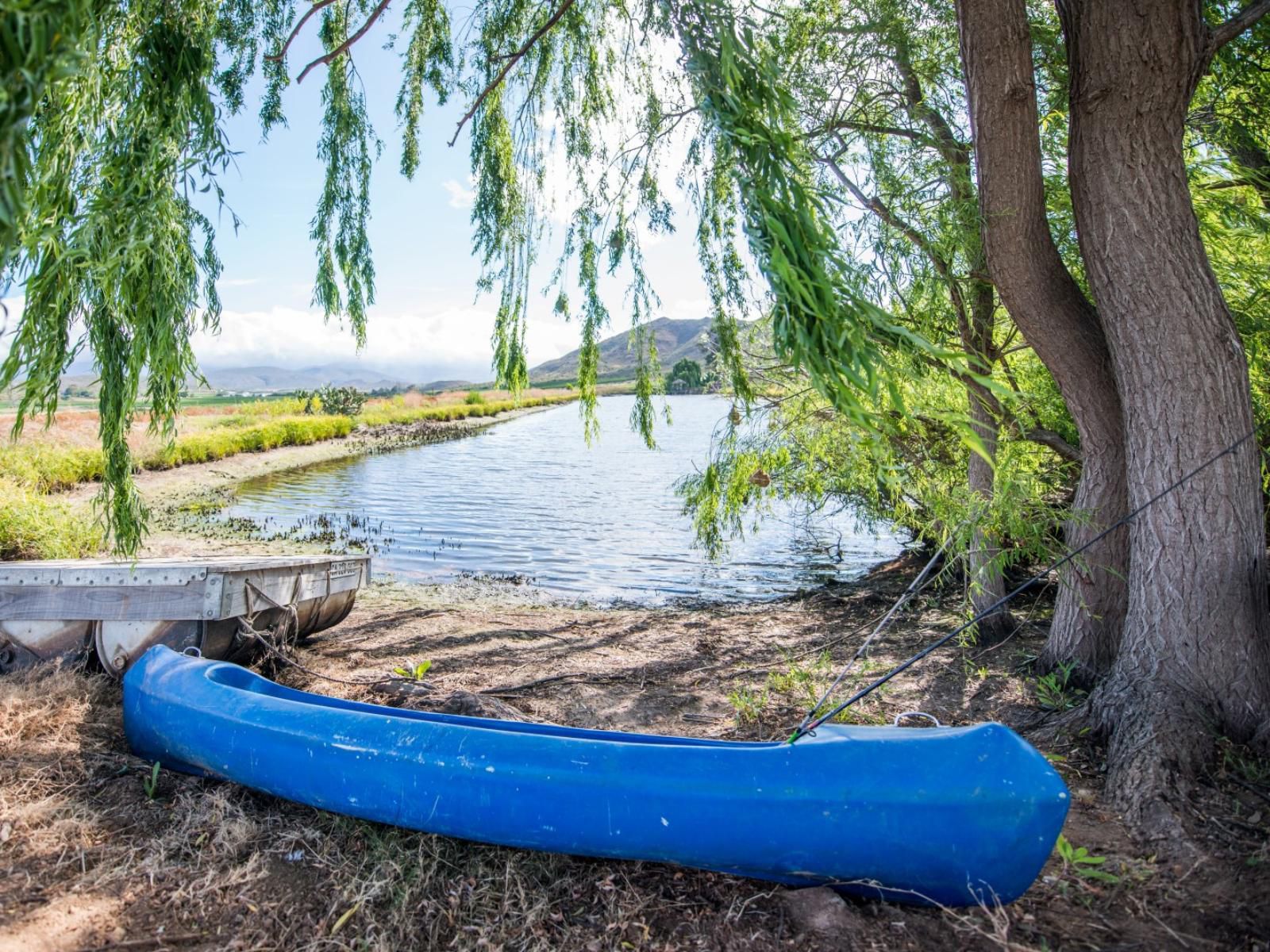 Fossil Hills Farm Cottage Mcgregor Western Cape South Africa Boat, Vehicle, Canoe, Tree, Plant, Nature, Wood