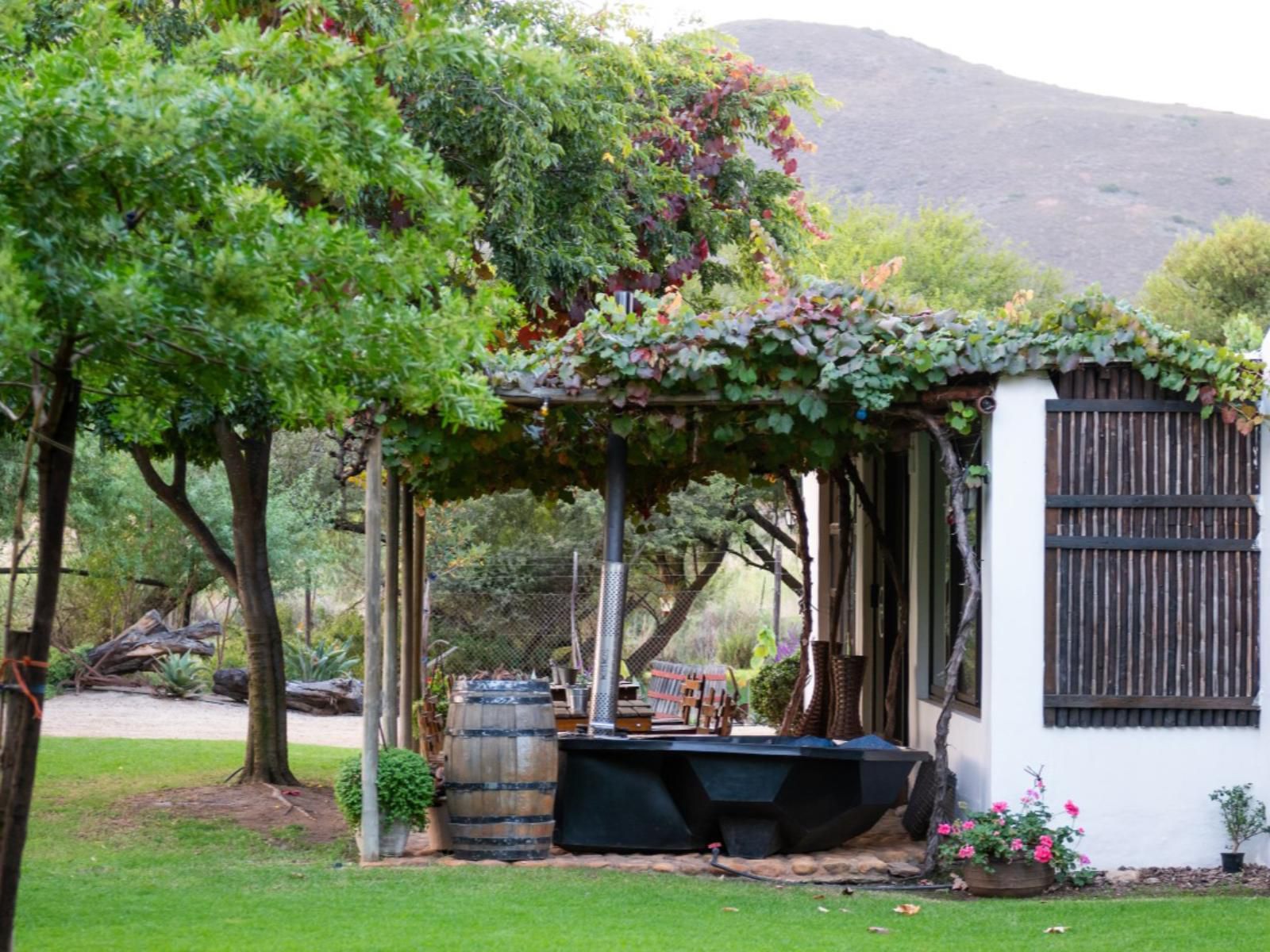 Fossil Hills Farm Cottage Mcgregor Western Cape South Africa House, Building, Architecture, Plant, Nature, Garden