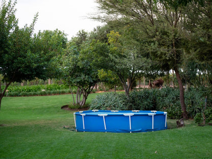 Fossil Hills Farm Cottage Mcgregor Western Cape South Africa Ball Game, Sport, Garden, Nature, Plant, Swimming Pool