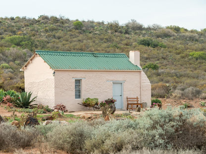 Fossil Hills Farm Cottage Mcgregor Western Cape South Africa Building, Architecture, Cactus, Plant, Nature