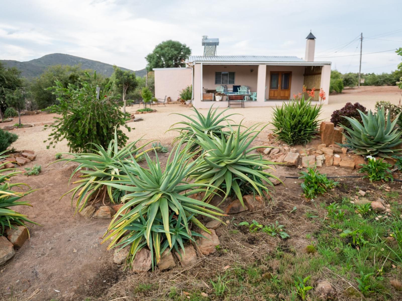 Fossil Hills Farm Cottage Mcgregor Western Cape South Africa House, Building, Architecture, Palm Tree, Plant, Nature, Wood, Garden