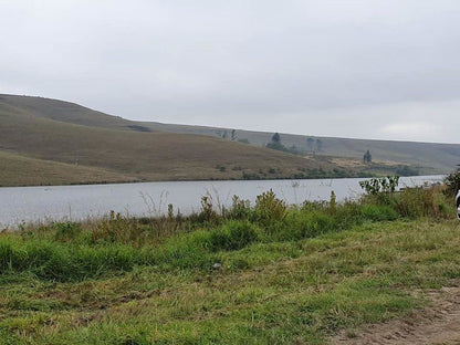 Fountain Hall Guest Farm Mooi River Kwazulu Natal South Africa Tree, Plant, Nature, Wood, Highland