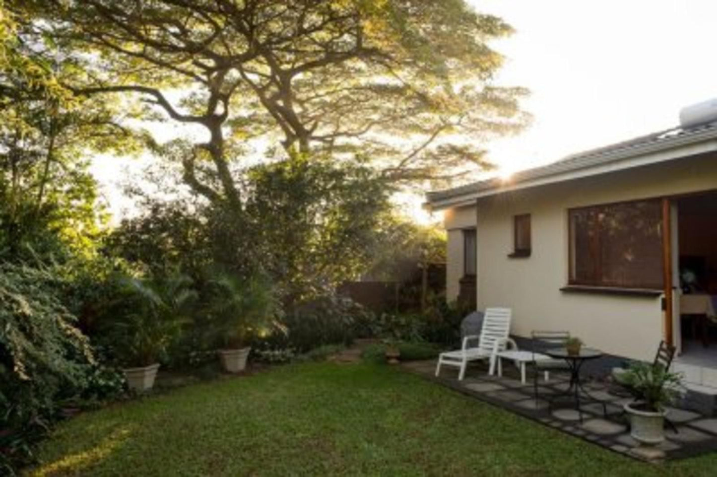 Fountains Self Catering Bandb Montrose Pietermaritzburg Kwazulu Natal South Africa House, Building, Architecture, Palm Tree, Plant, Nature, Wood