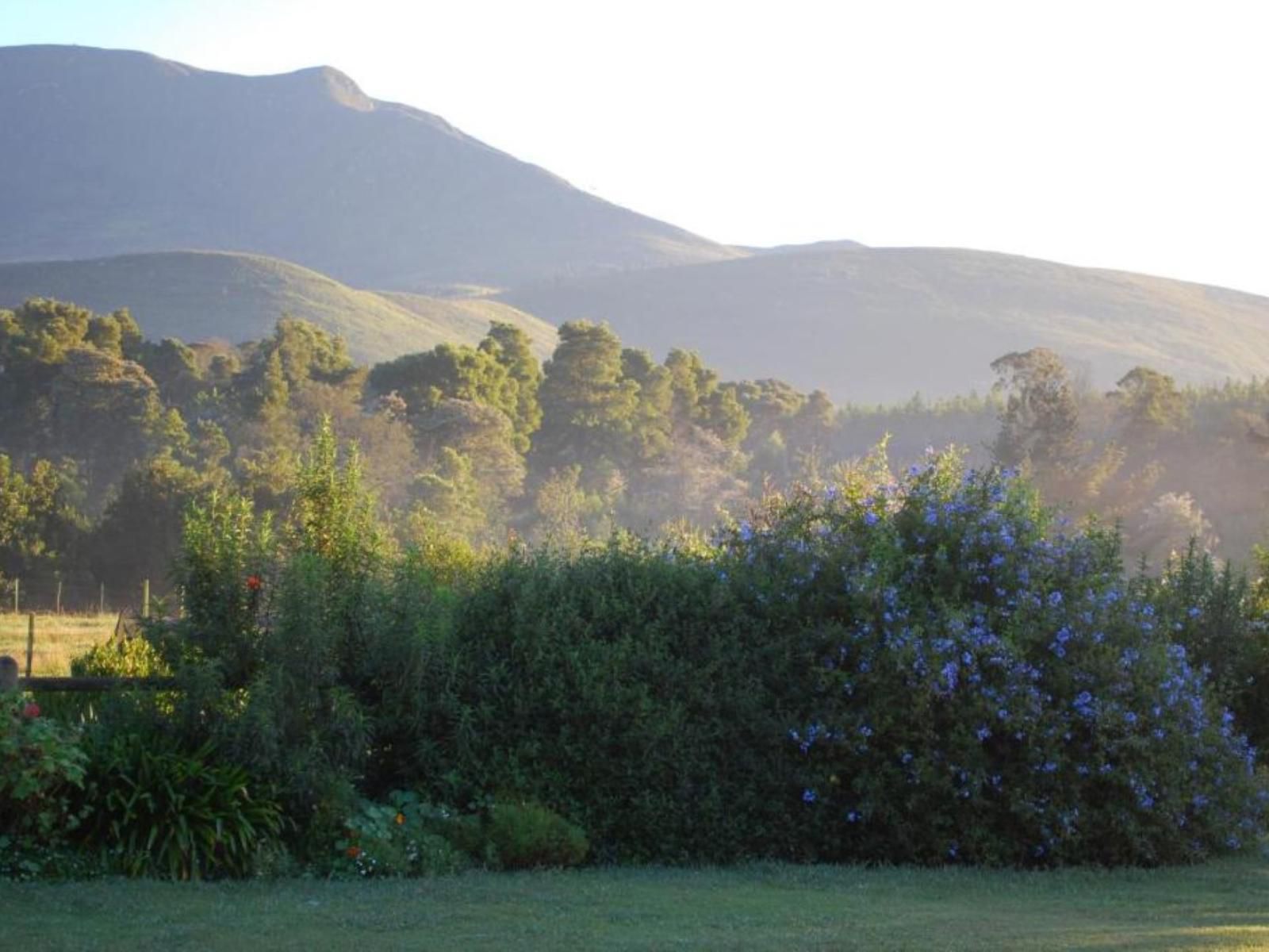 Four Fields Farm, Nature